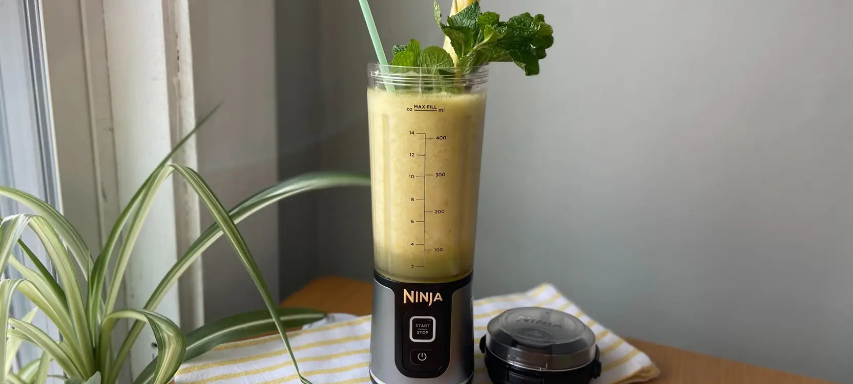 Pineapple Mango Mojito