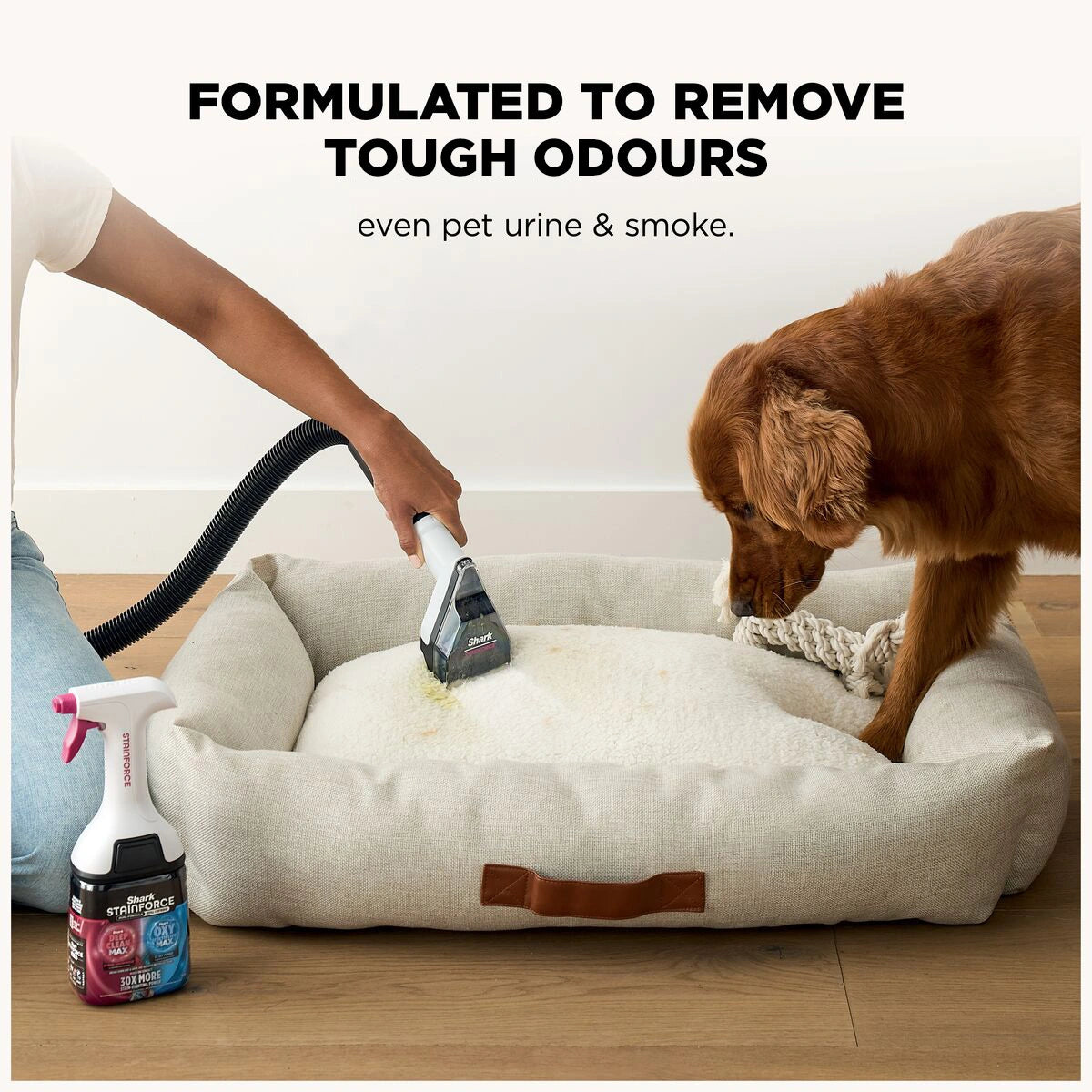Shark EveryMess 3-in-1 Wet Vac, Dry Vac and Stain System