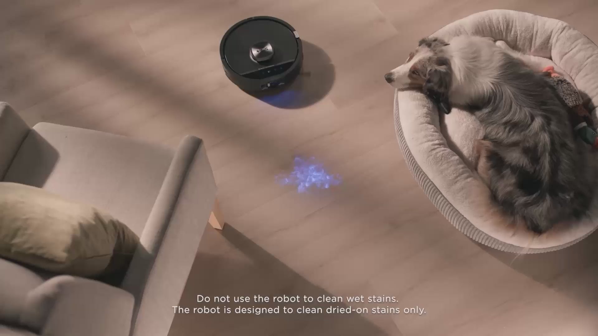 UV stain detect and cleaning reports